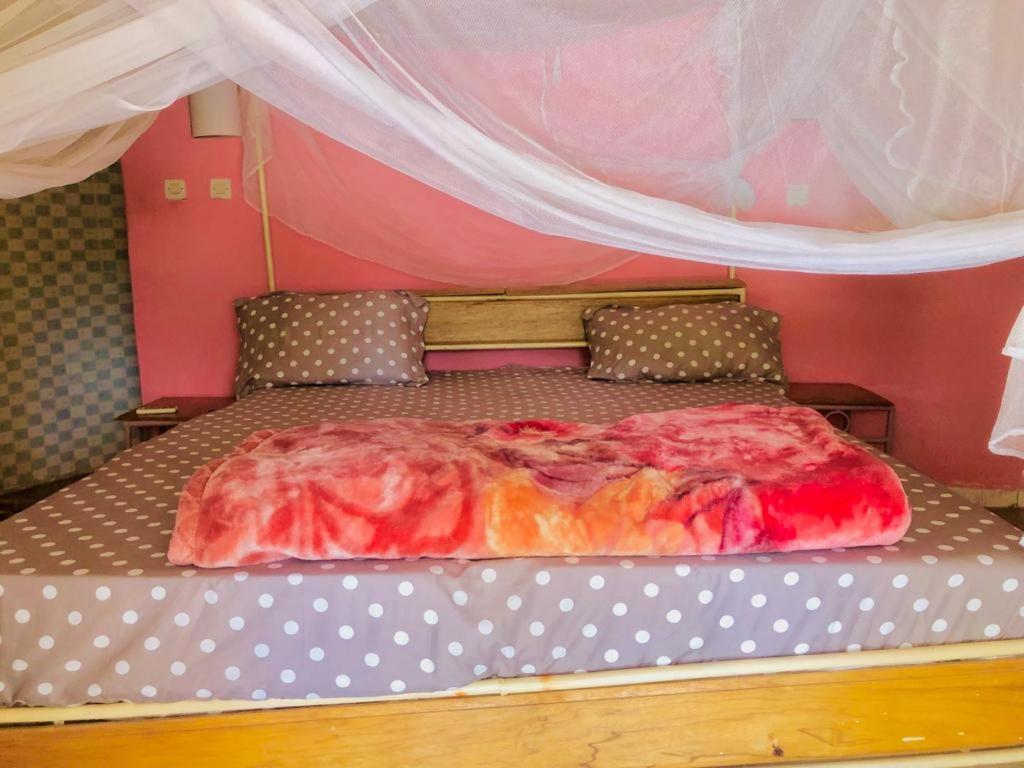 Hotel Toolbi Niaga Экстерьер фото